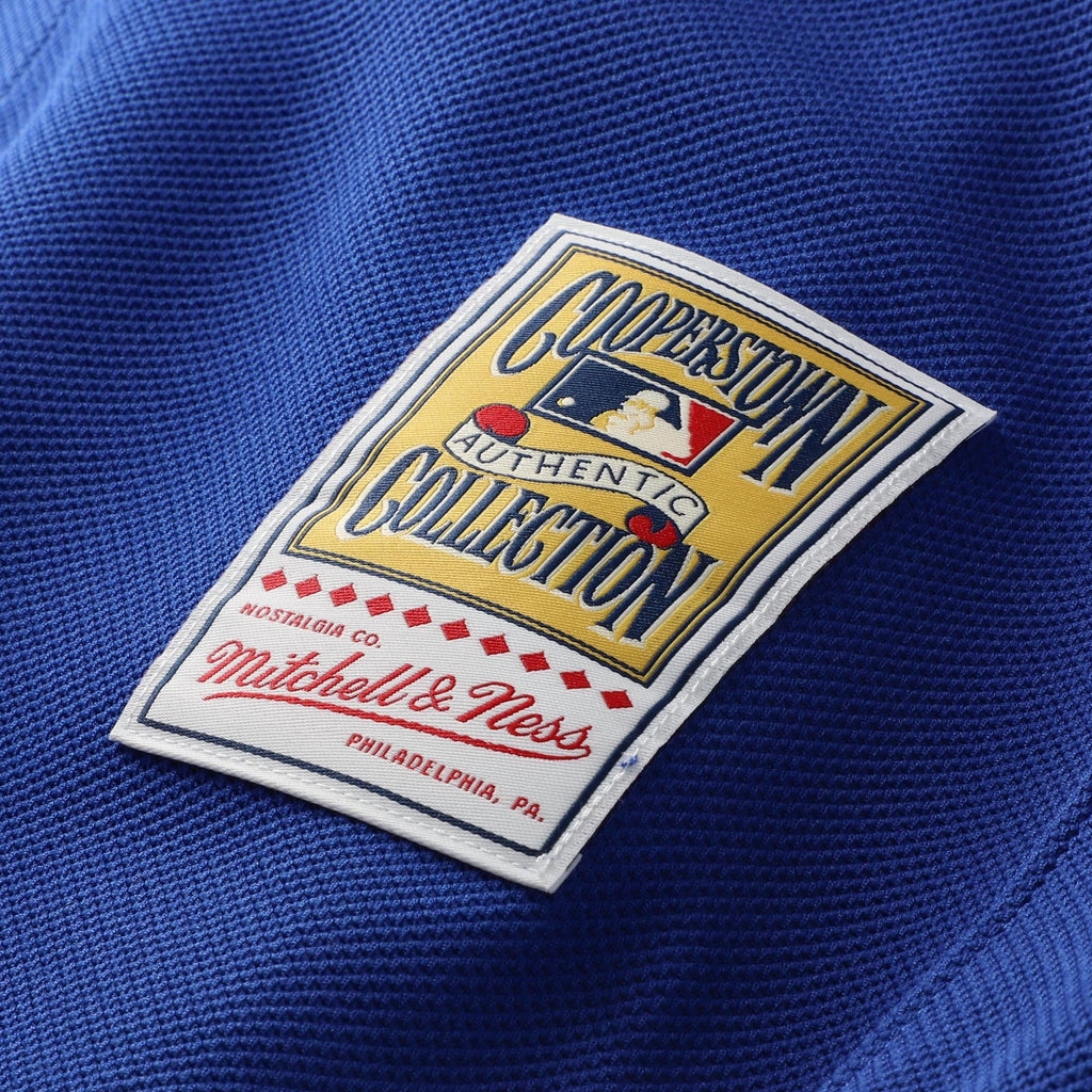 Men's Los Angeles Dodgers Hideo Nomo Mitchell & Ness Royal Cooperstown Collection 2004 Batting Practice Jersey