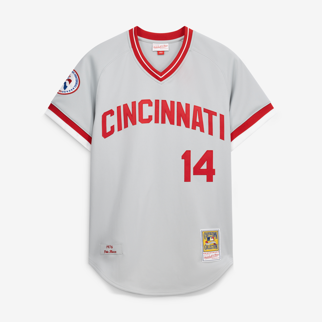 Men's Cincinnati Reds Pete Rose Mitchell & Ness Gray 1976 Authentic Jersey