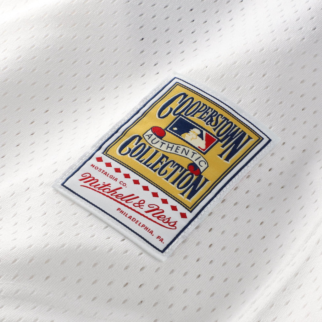 Men's Chicago White Sox Carlton Fisk Mitchell & Ness Navy Authentic Batting Practice Jersey