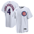 Chicago Cubs jersey
