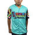 Hickory Crawdads jersey