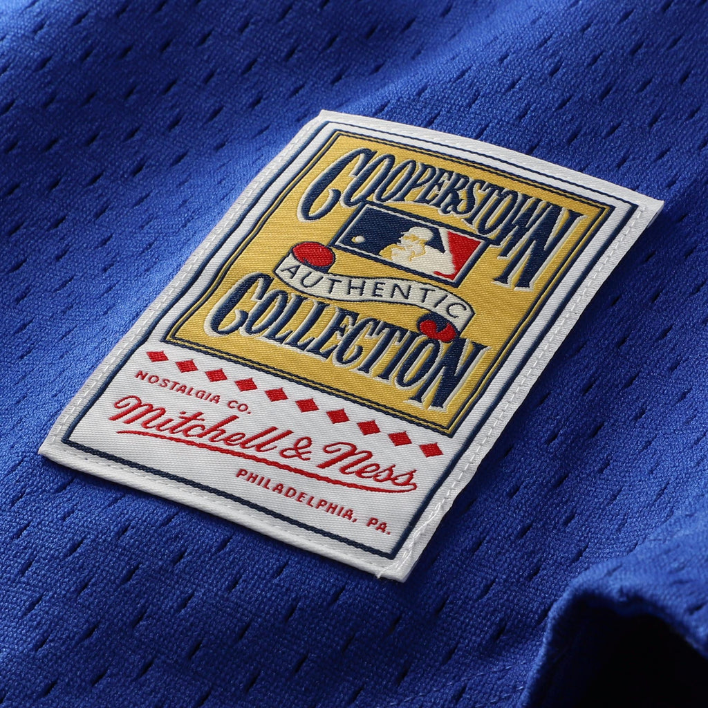 Men's Chicago Cubs Ryne Sandberg Mitchell & Ness Royal Cooperstown Collection 1997 Mesh Batting Practice Button-Up Jersey
