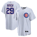 Chicago Cubs jersey