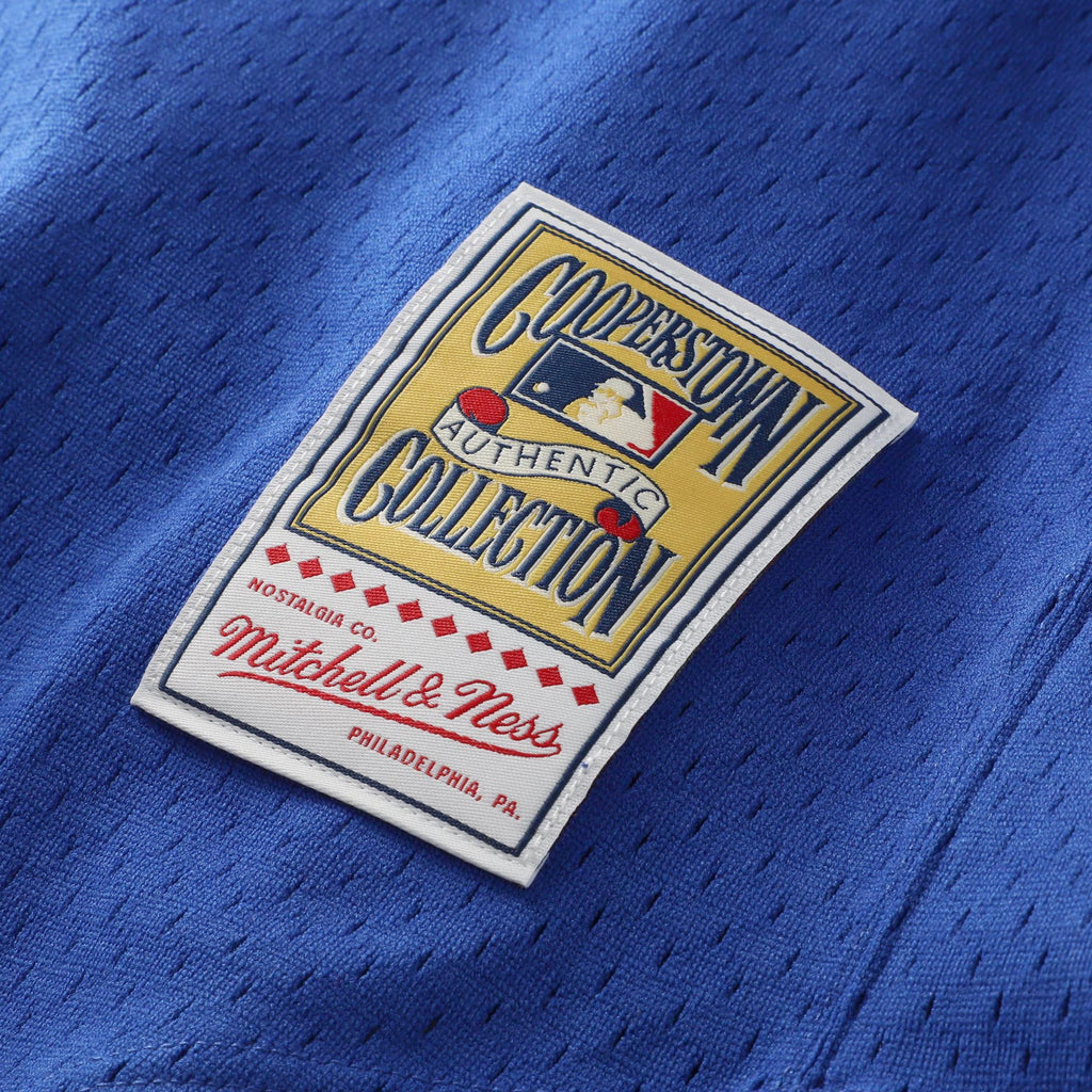 Men's Texas Rangers Nolan Ryan Mitchell & Ness Royal Big & Tall Cooperstown Mesh Batting Practice Jersey