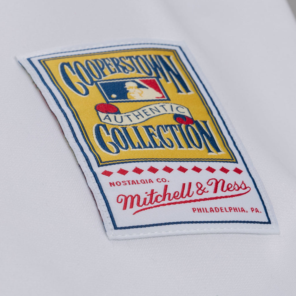 Men's Atlanta Braves Andruw Jones Mitchell & Ness White 2005 Authentic Jersey