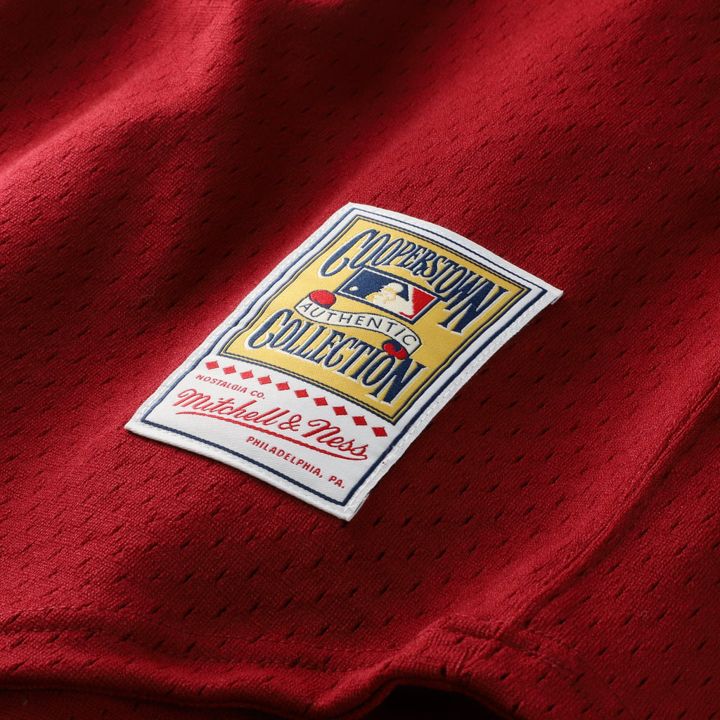 Men's Philadelphia Phillies Darren Daulton Mitchell & Ness Scarlet Authentic Batting Practice Jersey