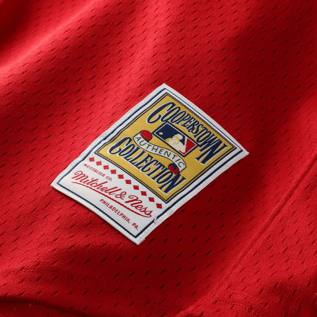 Men's St. Louis Cardinals Ozzie Smith Mitchell & Ness Navy Authentic Batting Practice Jersey