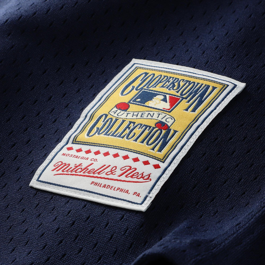 Men's Chicago White Sox Carlton Fisk Mitchell & Ness Navy Authentic Batting Practice Jersey