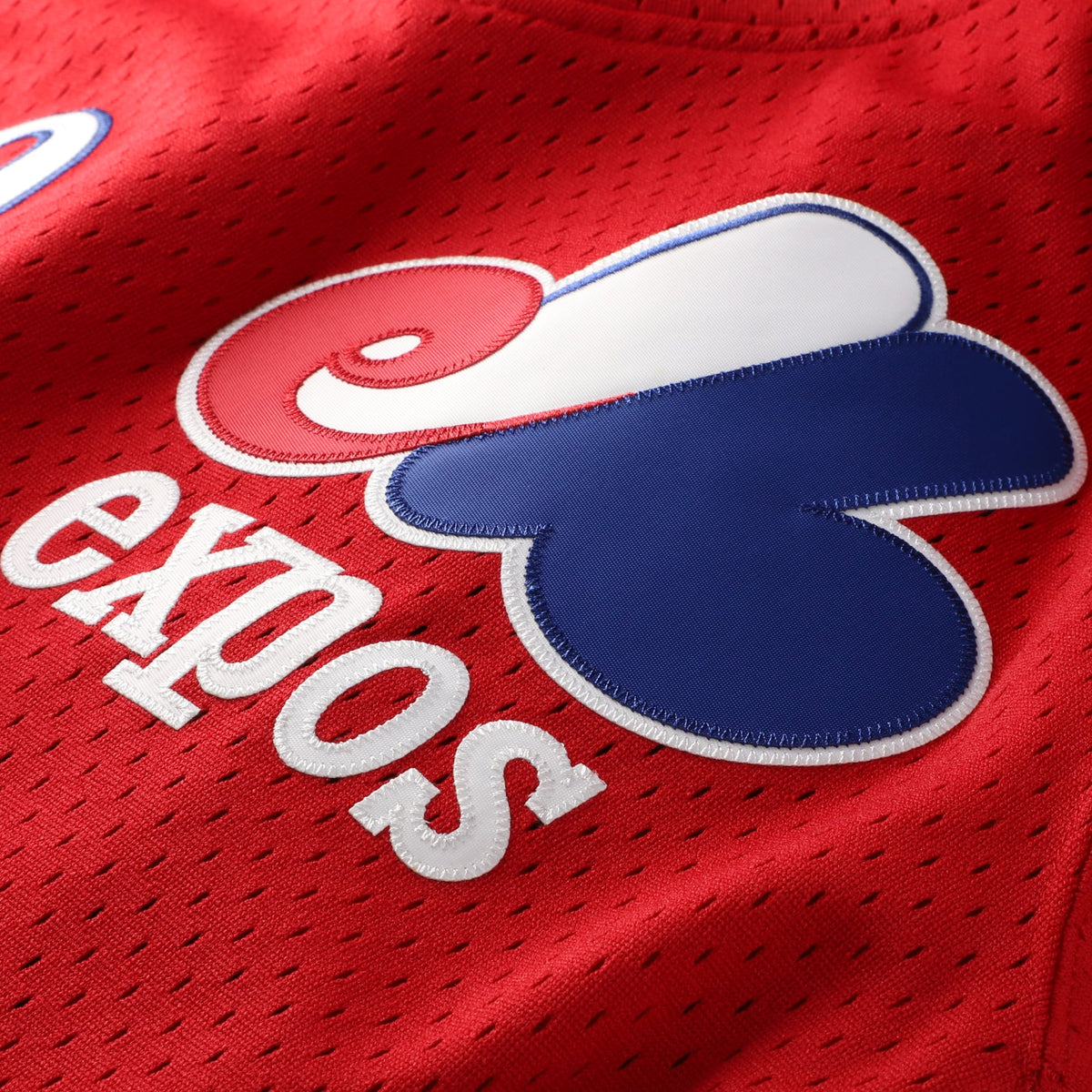 Men's Montreal Expos Tim Raines Mitchell & Ness Scarlet Authentic Batting Practice Jersey